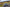 Tucker Motorsport Ford Mustang Livery Takes Shape