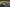 Tucker Motorsport Confirmed For Aussie Racing Cars