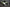 Tucker Motorsport Ford Mustang Livery Takes Shape